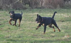 Hera and Eden Nov 2012.jpg
